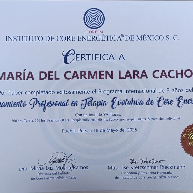 Ampliar imagen: certificate 7