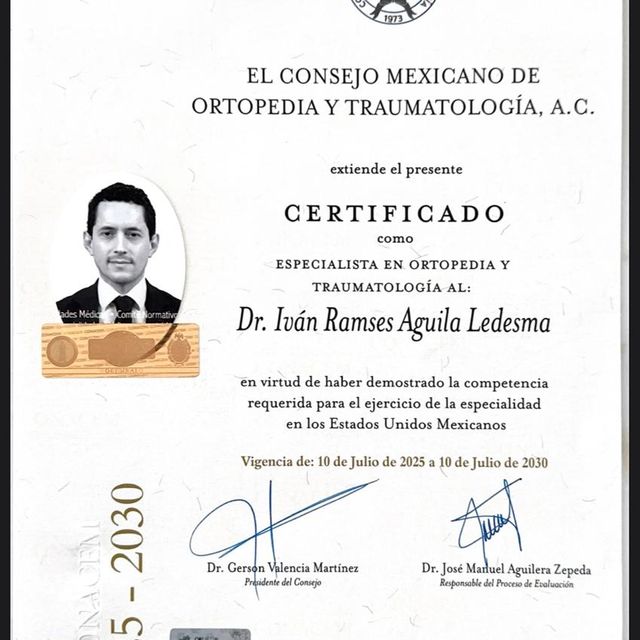 Ampliar imagen: certificate 6