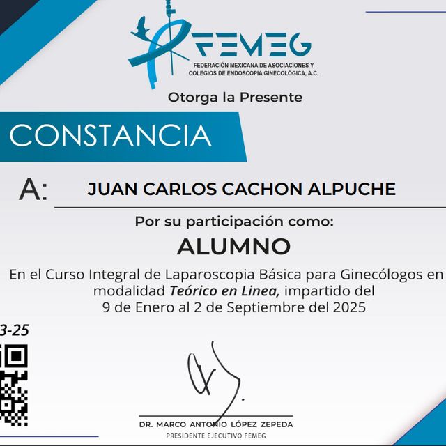 Ampliar imagen: certificate 3