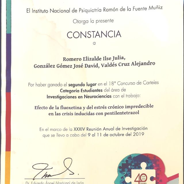 Ampliar imagen: certificate 4
