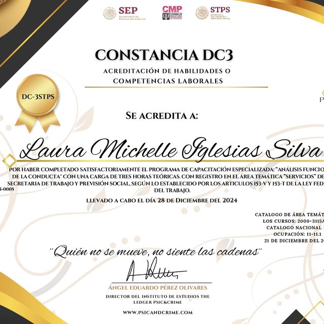 Ampliar imagen: certificate 3