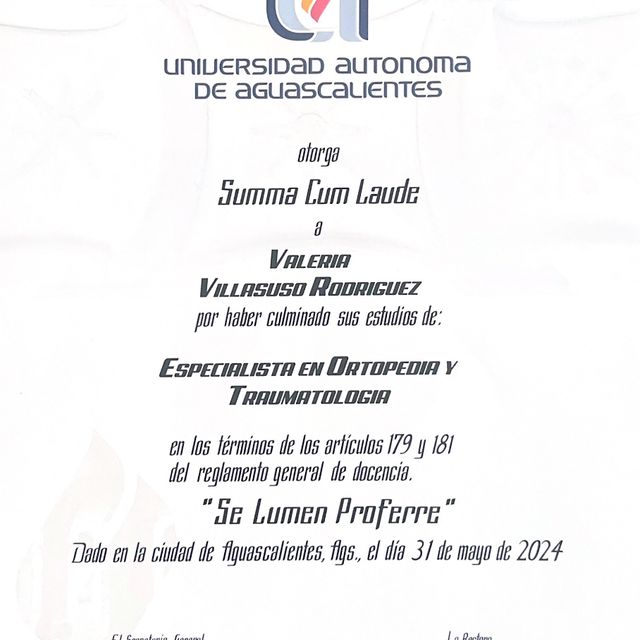 Ampliar imagen: certificate 2