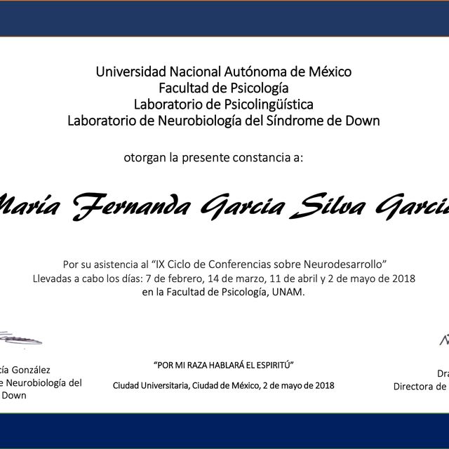 Ampliar imagen: certificate 4