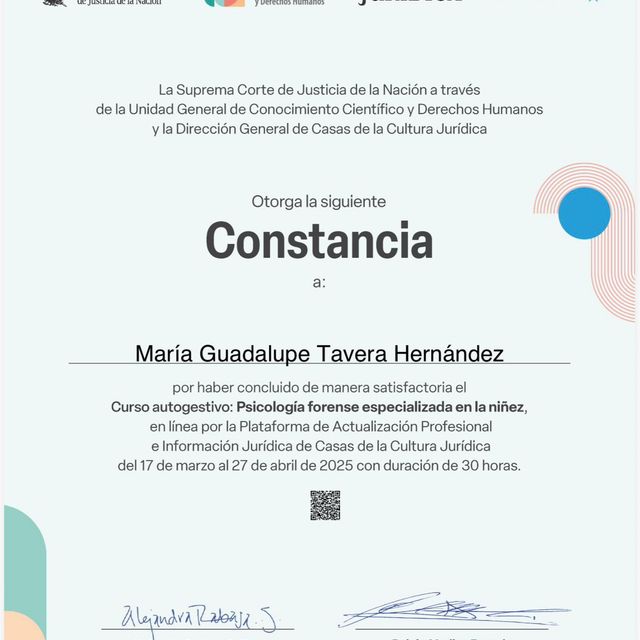Ampliar imagen: certificate 62