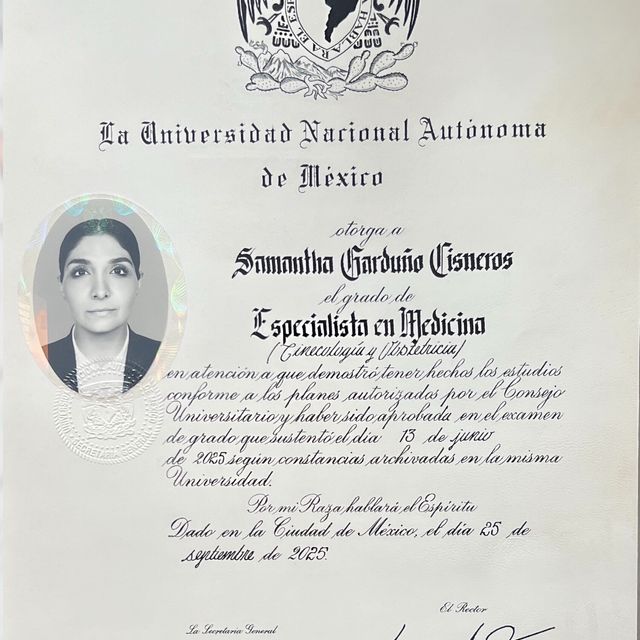 Ampliar imagen: certificate 2