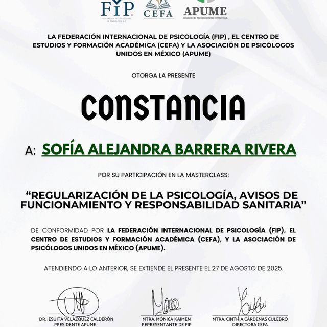 Ampliar imagen: certificate 3