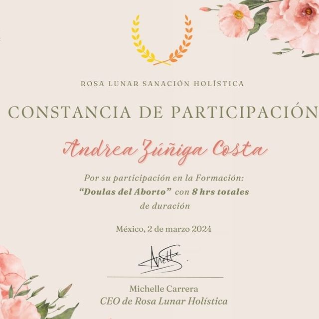 Ampliar imagen: certificate 6