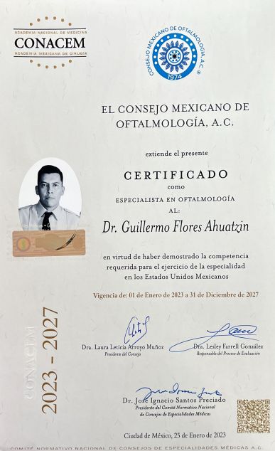 Ampliar imagen: certificate 7