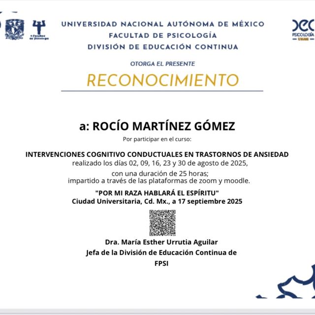 Ampliar imagen: certificate 5