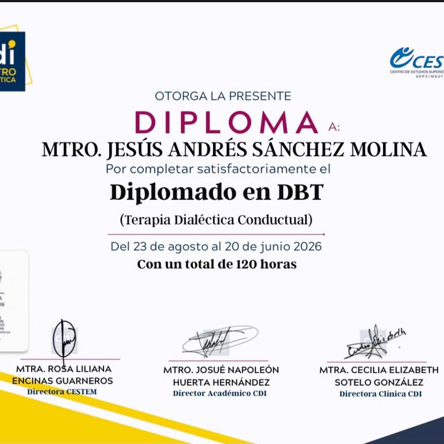 Ampliar imagen: certificate 7