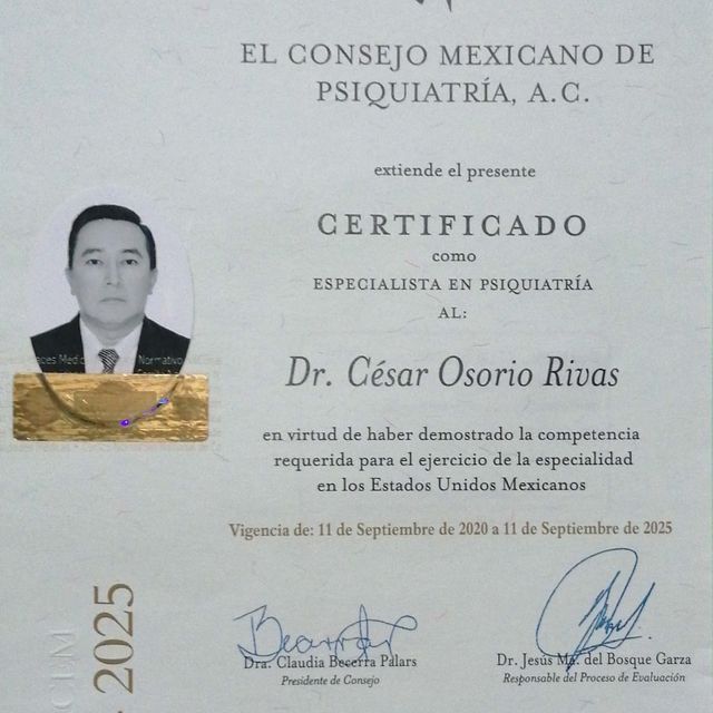 Ampliar imagen: certificate 2