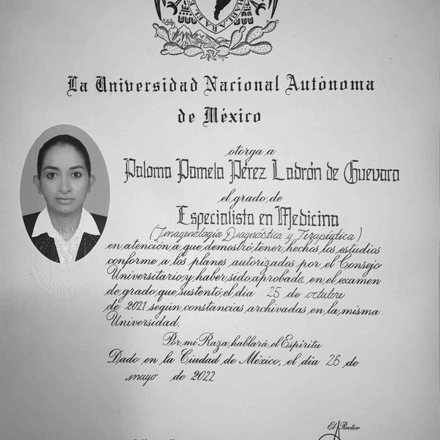 Ampliar imagen: certificate 4