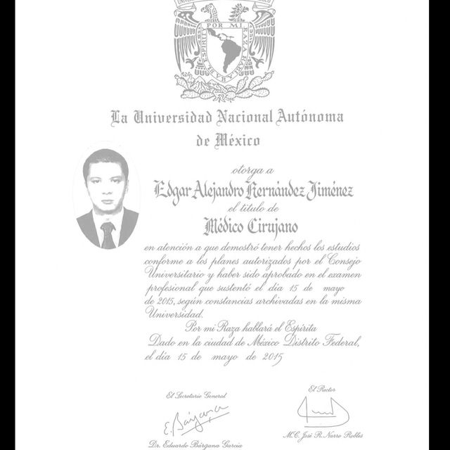 Ampliar imagen: certificate 3