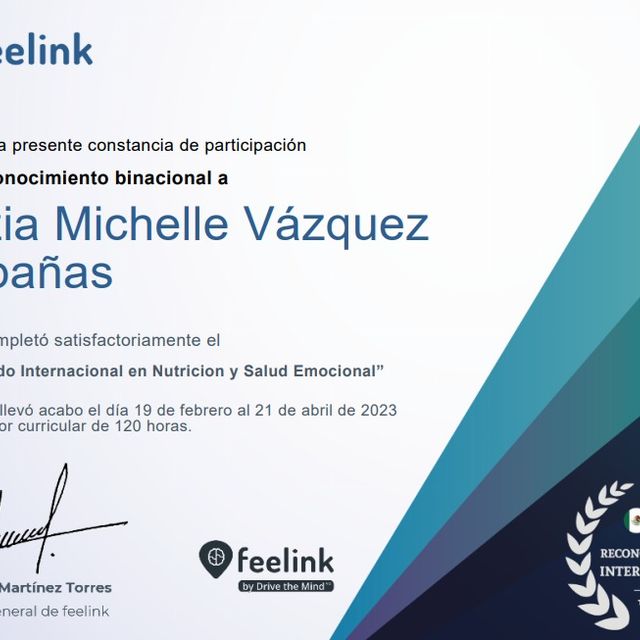 Ampliar imagen: certificate 5