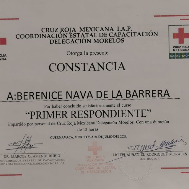 Ampliar imagen: certificate 5