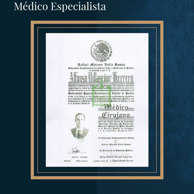 Ampliar imagen: certificate 5