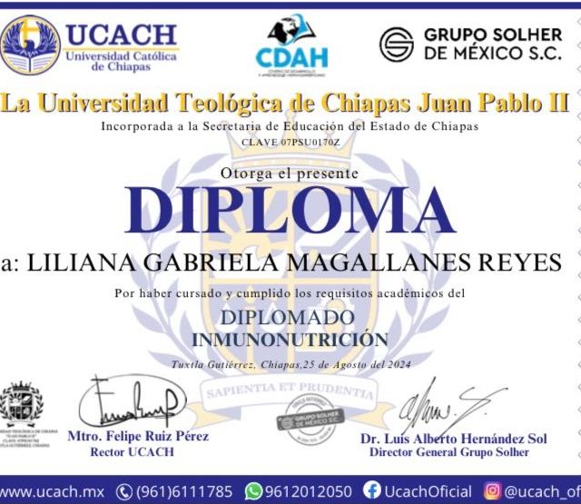 Ampliar imagen: certificate 5