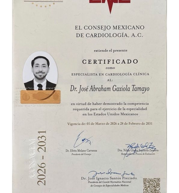 Ampliar imagen: certificate 2