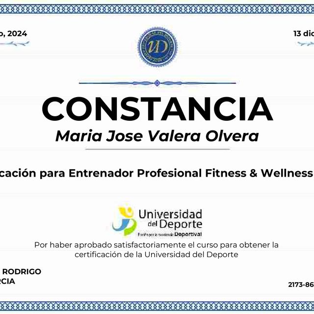 Ampliar imagen: certificate 2