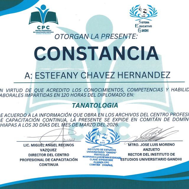 Ampliar imagen: certificate 3