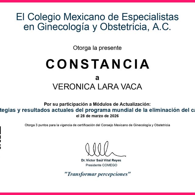 Ampliar imagen: certificate 40