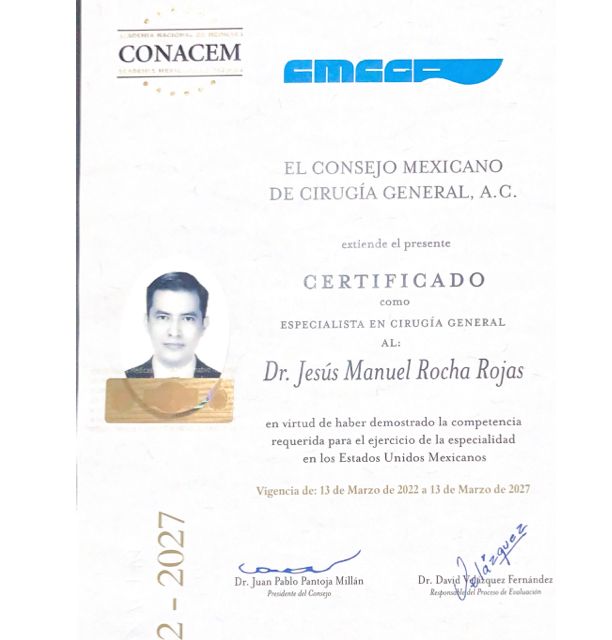Ampliar imagen: certificate 1