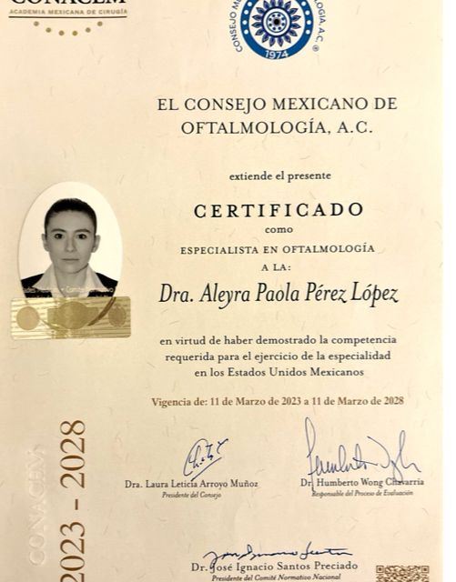 Ampliar imagen: certificate 1