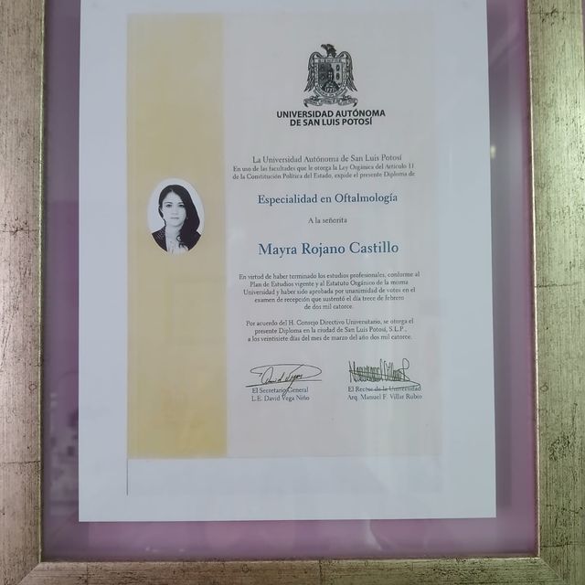 Ampliar imagen: certificate 1