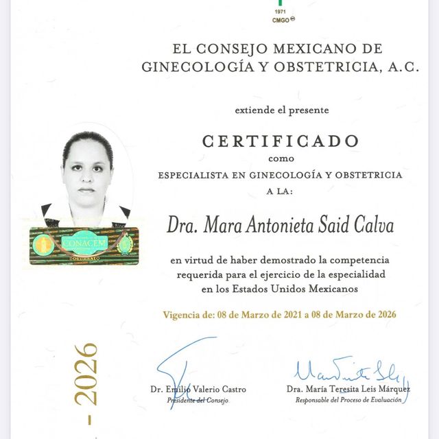 Ampliar imagen: certificate 1
