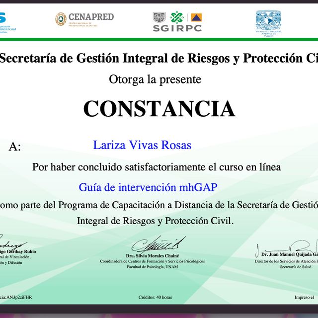 Ampliar imagen: certificate 1