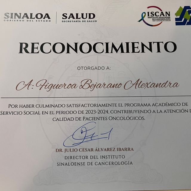 Ampliar imagen: certificate 2