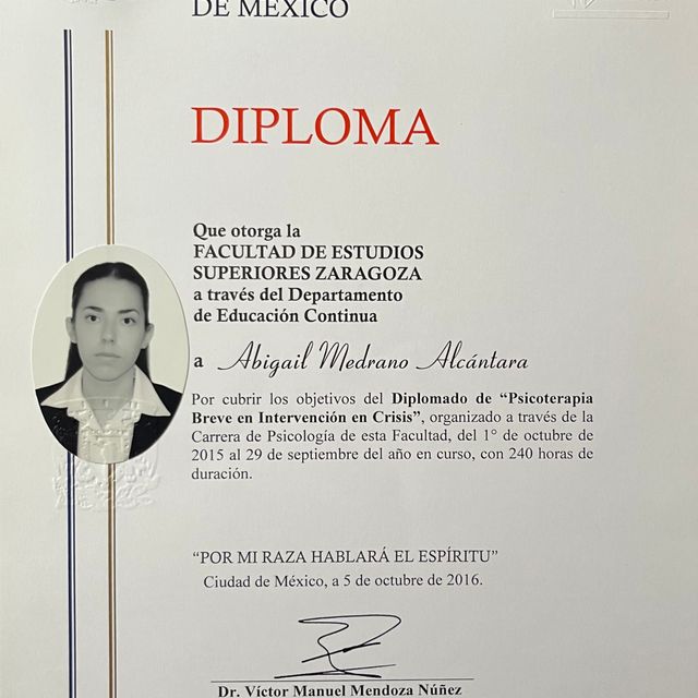 Ampliar imagen: certificate 2