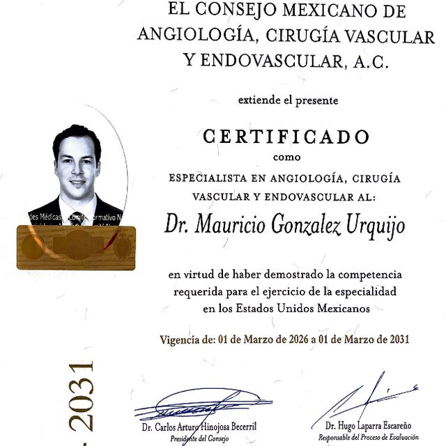 Ampliar imagen: certificate 1