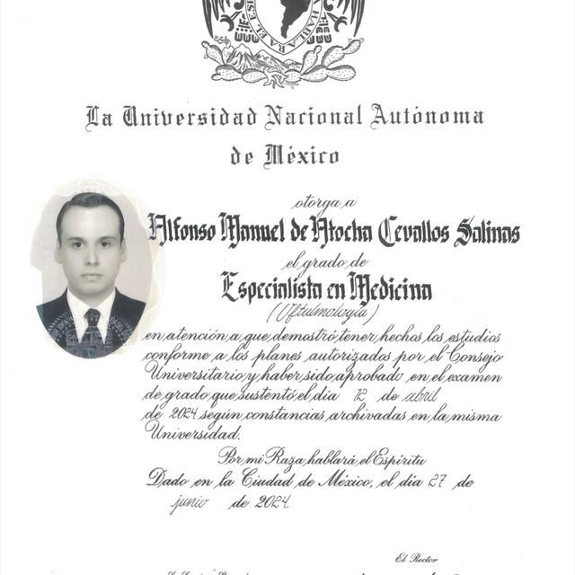 Ampliar imagen: certificate 4
