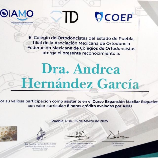 Ampliar imagen: certificate 2