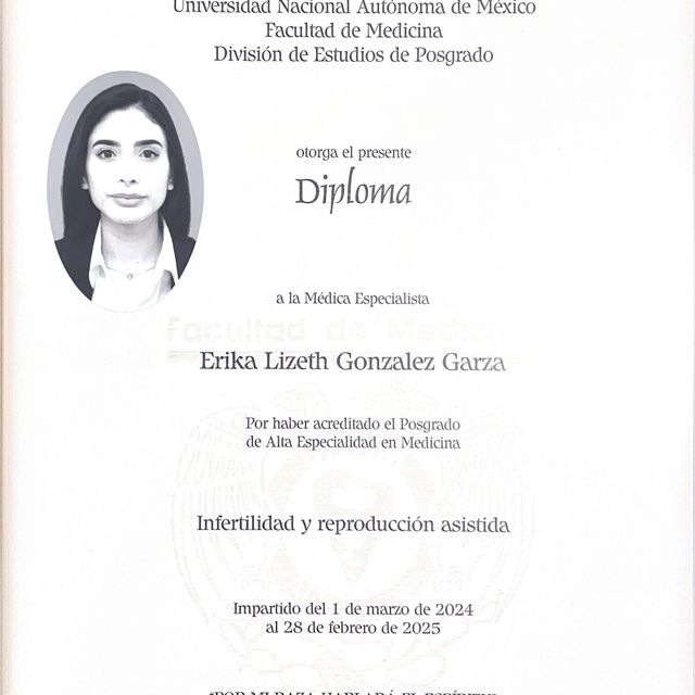Ampliar imagen: certificate 5