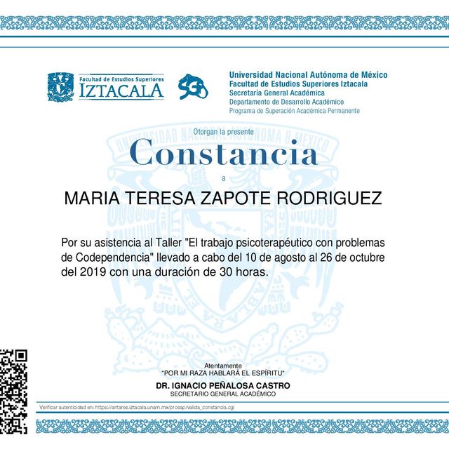 Ampliar imagen: certificate 2