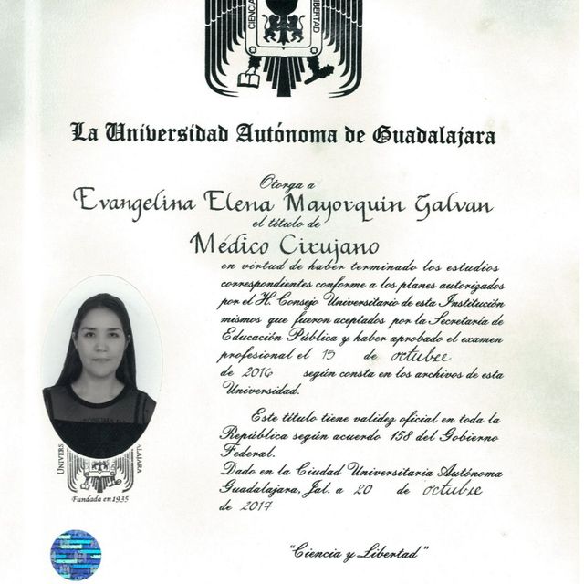 Ampliar imagen: certificate 3