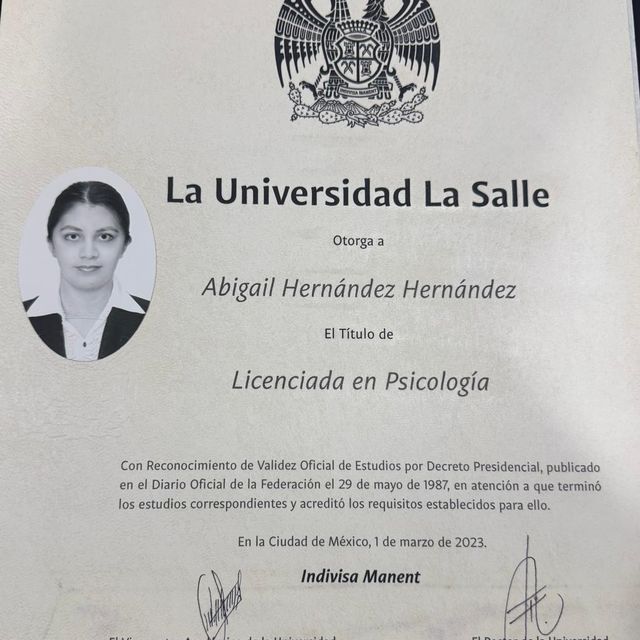 Ampliar imagen: certificate 2