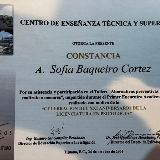 Ampliar imagen: certificate 4