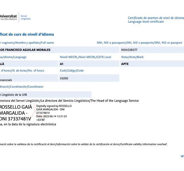 Ampliar imagen: certificate 9