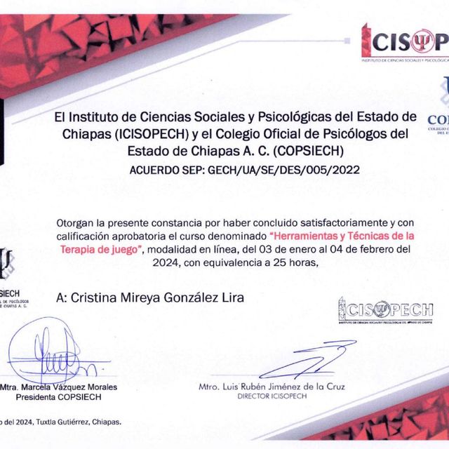Ampliar imagen: certificate 9