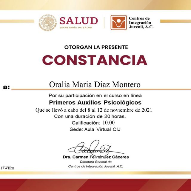 Ampliar imagen: certificate 4