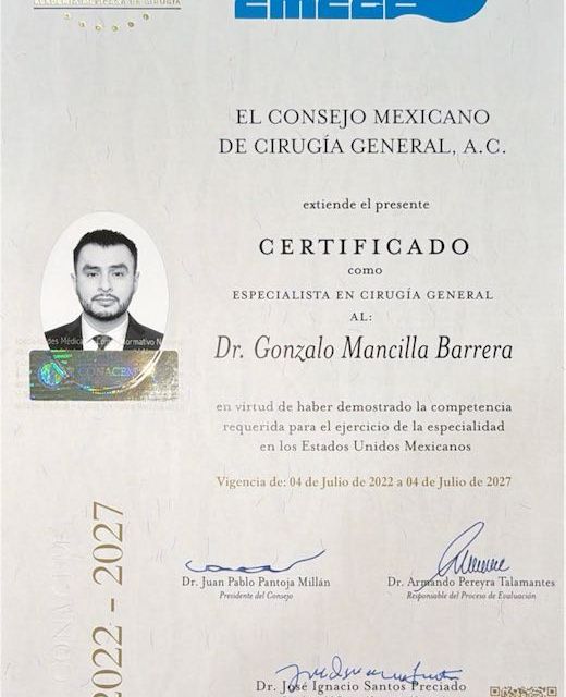 Ampliar imagen: certificate 1