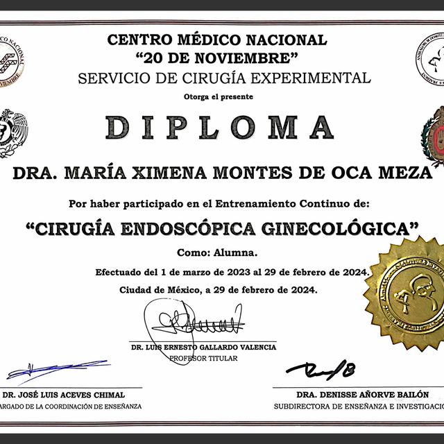 Ampliar imagen: certificate 1
