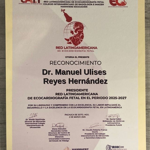 Ampliar imagen: certificate 7