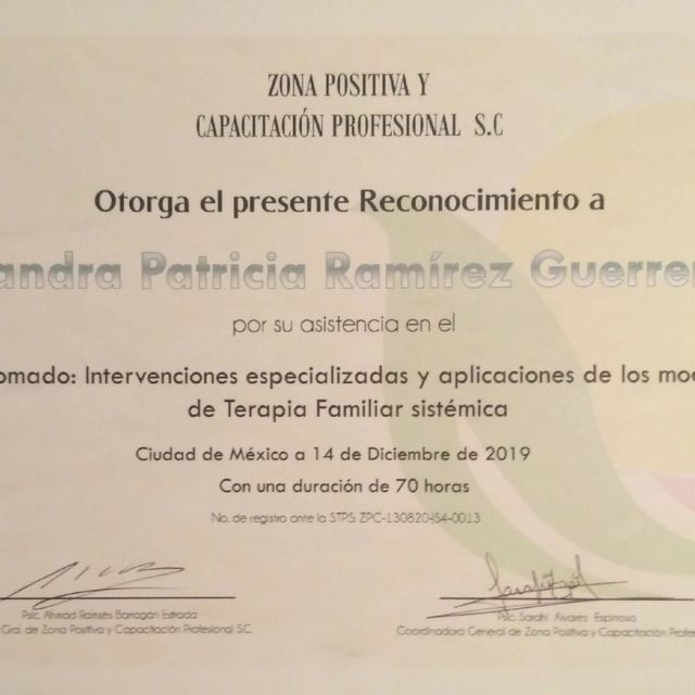 Ampliar imagen: certificate 5