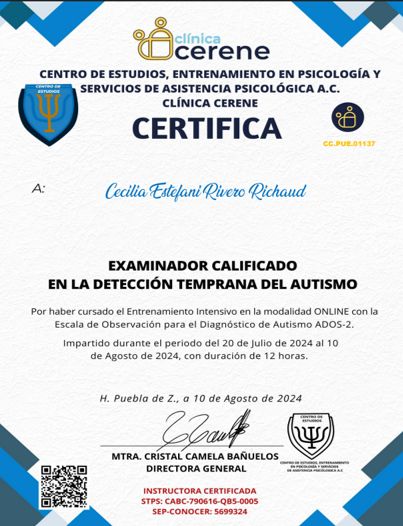 Ampliar imagen: certificate 3