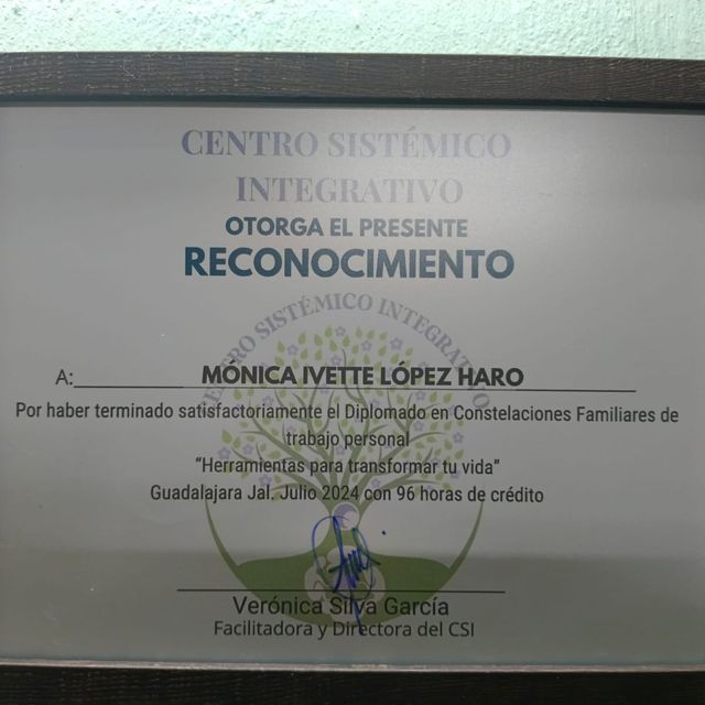 Ampliar imagen: certificate 4