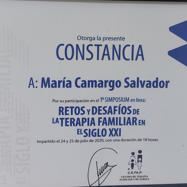Ampliar imagen: certificate 25